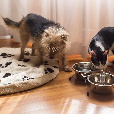 Italia